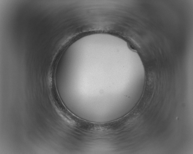 X0000073540632200607311353