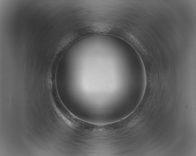 X0000073540634200607311353