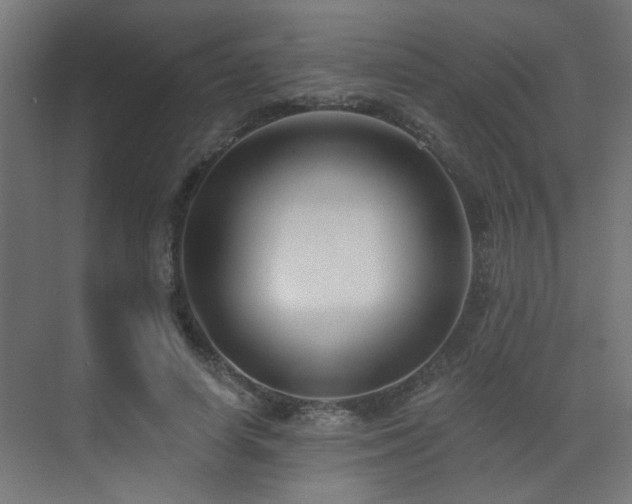 X0000073540642200607311353