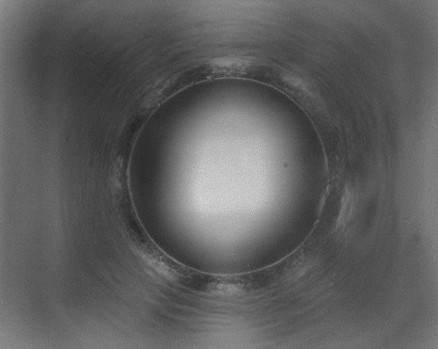 X0000073540649200607311353