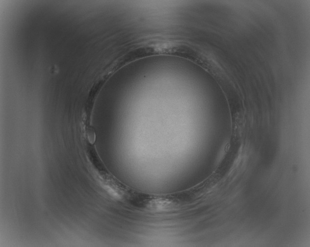 X0000073540650200607311354