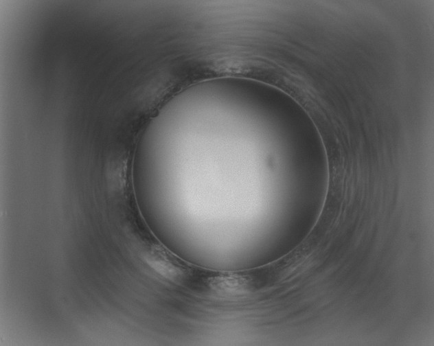 X0000073540652200607311354