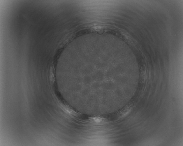 X0000073540654200607311354