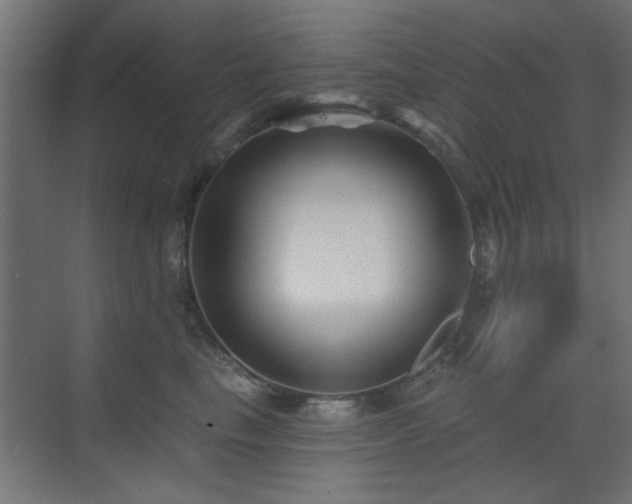 X0000073540665200607311354