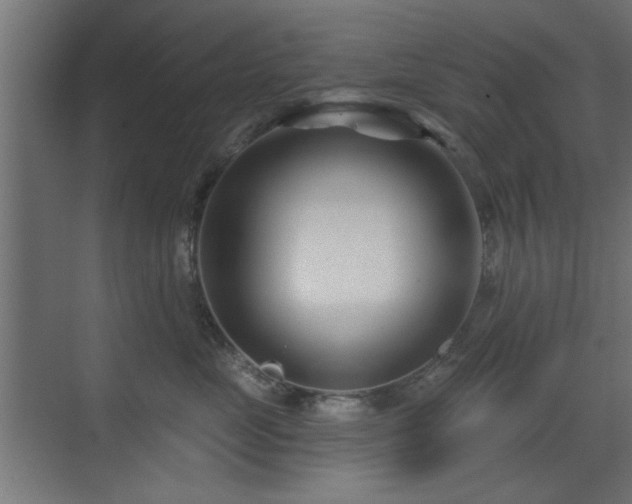 X0000073540669200607311354