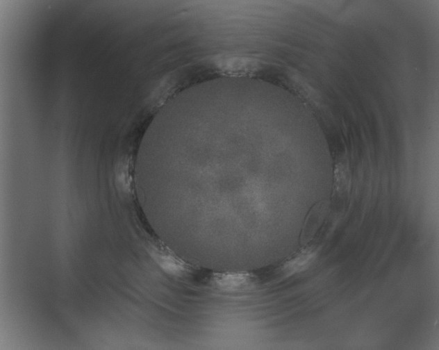 X0000073540671200607311354