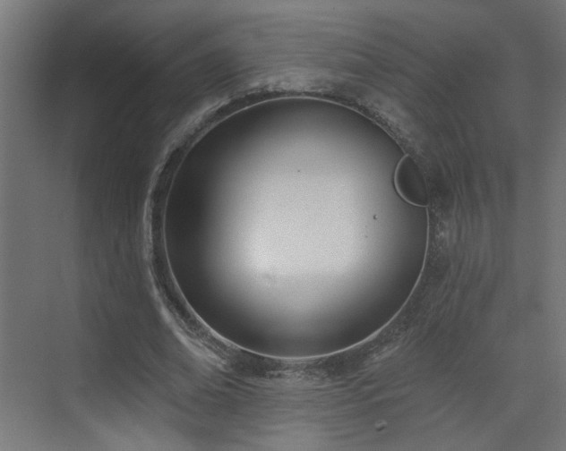 X0000073540678200607311353