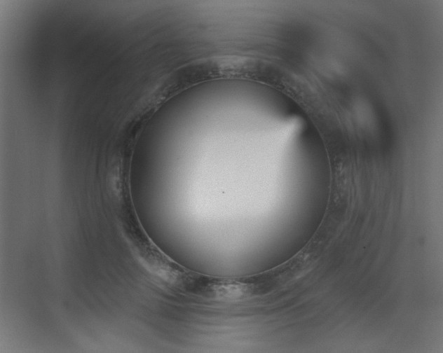 X0000073540698200607311353