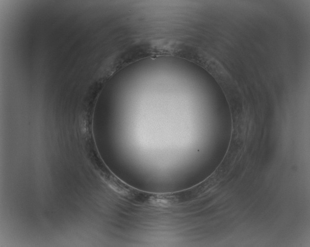 X0000073540706200607311353