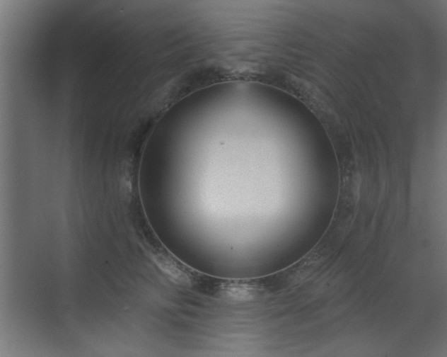 X0000073540710200607311352