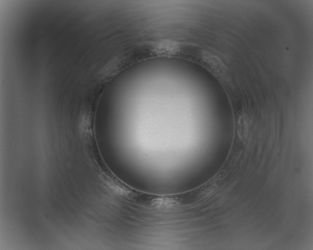 X0000073540714200607311352