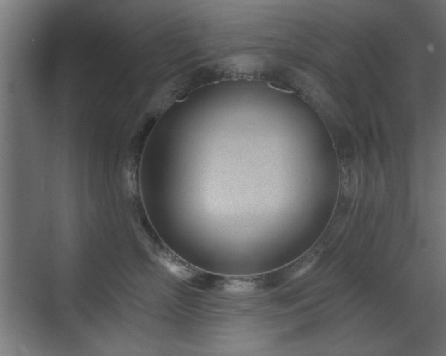 X0000073540718200607311352