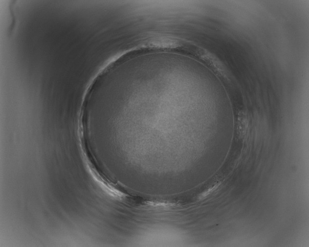 X0000073540726200607311352