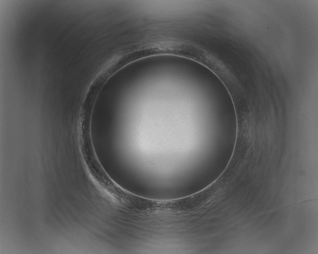 X0000073540730200607311352