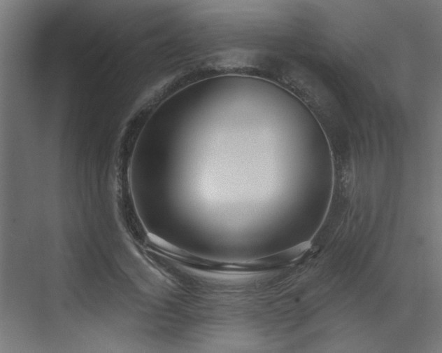 X0000073540732200607311352