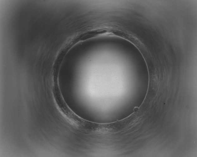 X0000073540734200607311352