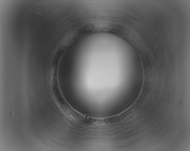 X0000073540742200607311352