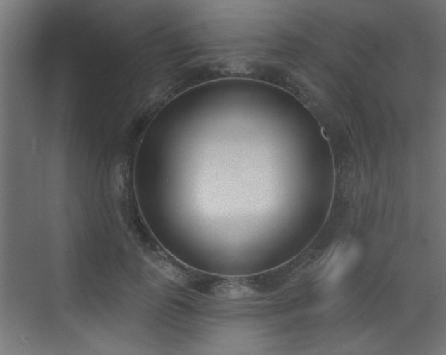 X0000073540747200607311352