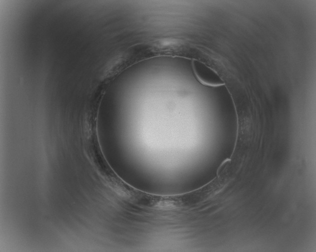 X0000073540751200607311352