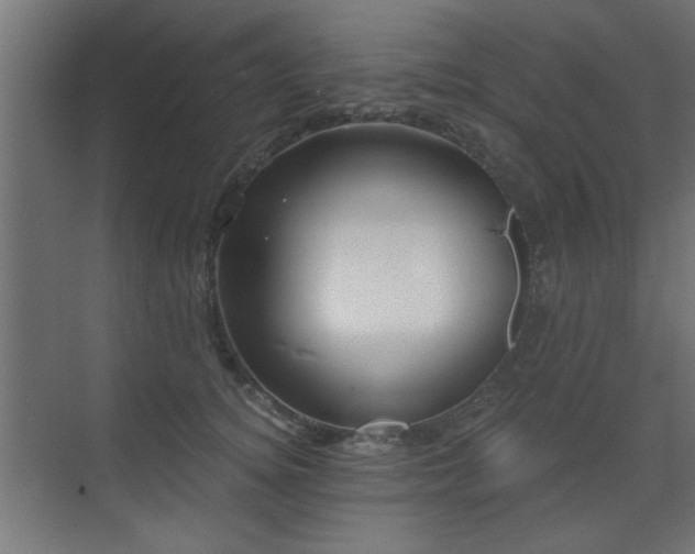 X0000073540756200607311352