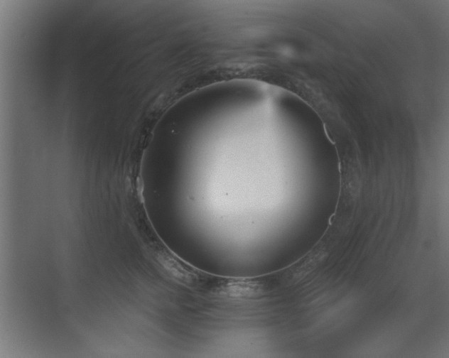 X0000073540758200607311352