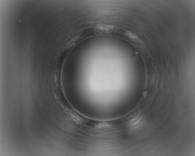 X0000073540759200607311352