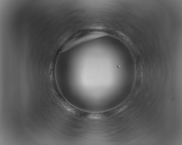 X0000073540762200607311352