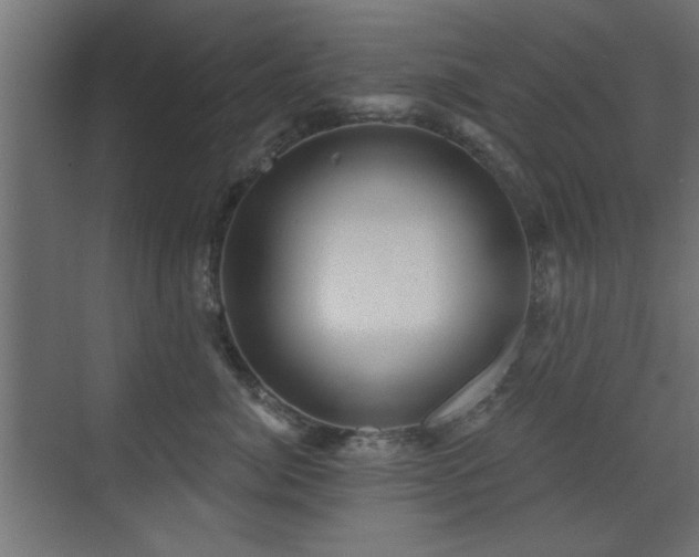X0000073540764200607311352