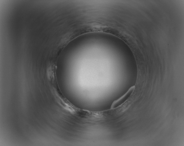 X0000073540768200607311352
