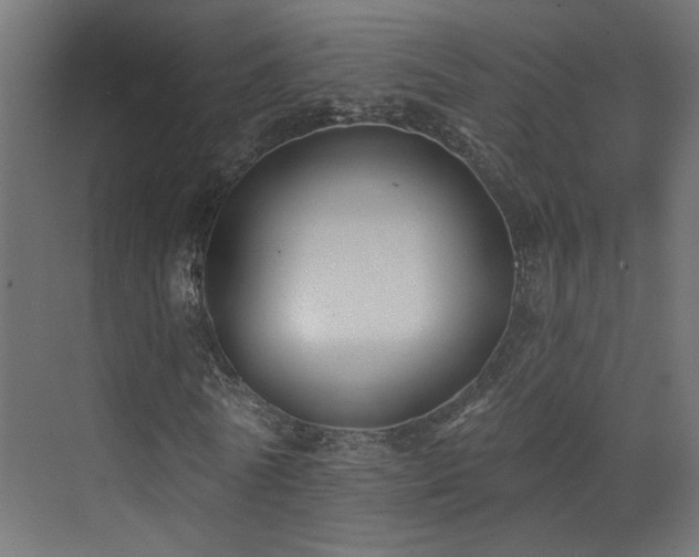 X0000073540770200607311351