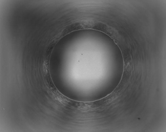 X0000073540772200607311351