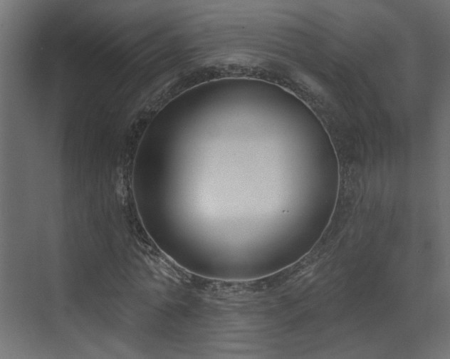 X0000073540774200607311351