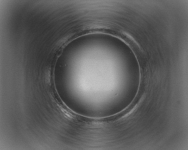 X0000073540777200607311351