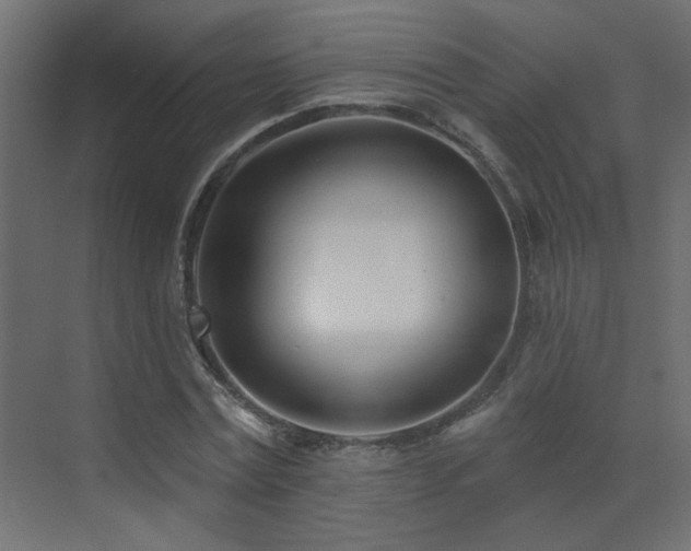 X0000073540779200607311351