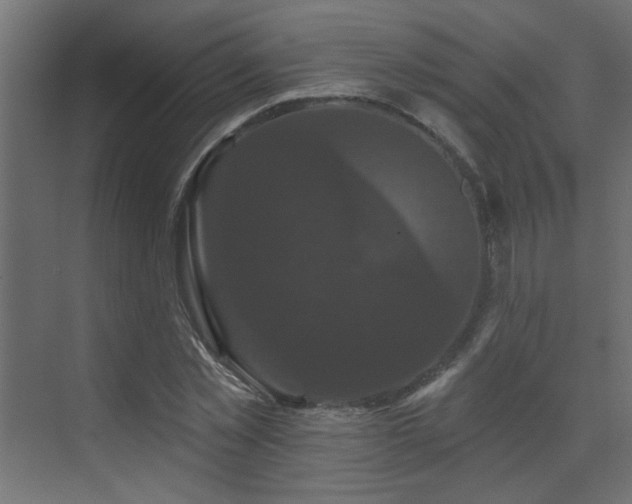 X0000073540781200607311351