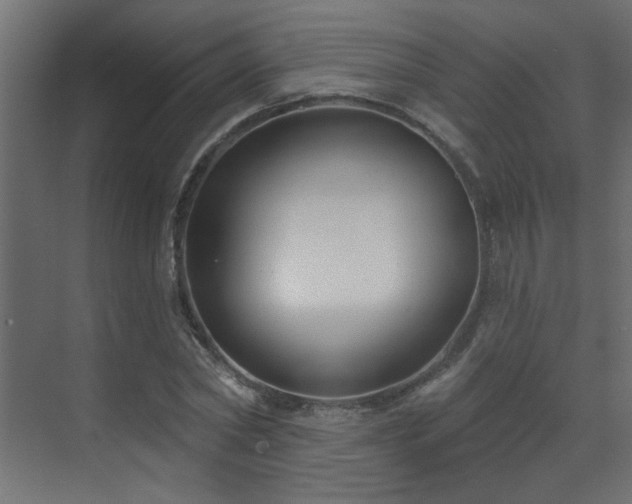 X0000073540782200607311351