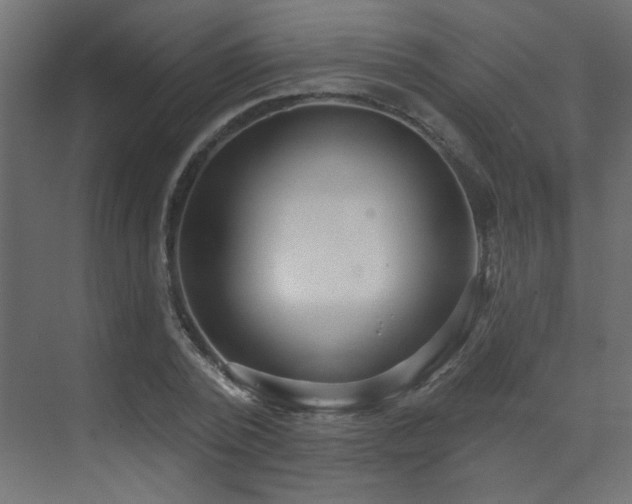 X0000073540784200607311351