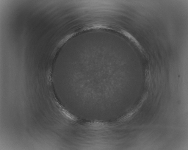 X0000073540785200607311351