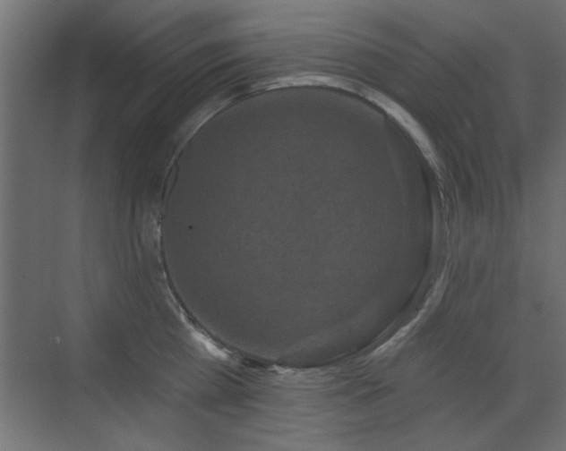 X0000073540809200607311351
