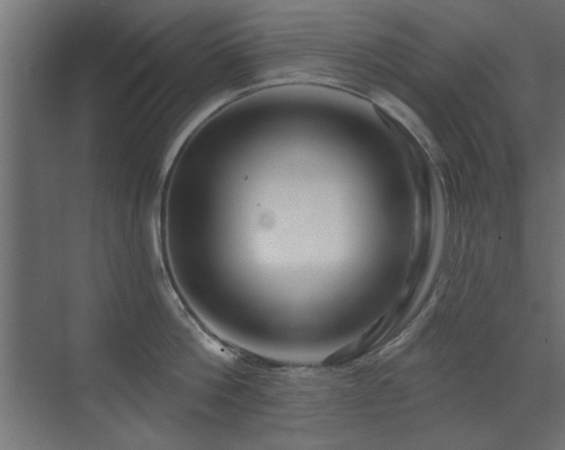 X0000073540812200607311351