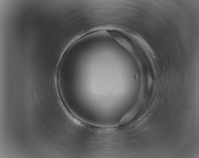 X0000073540813200607311351