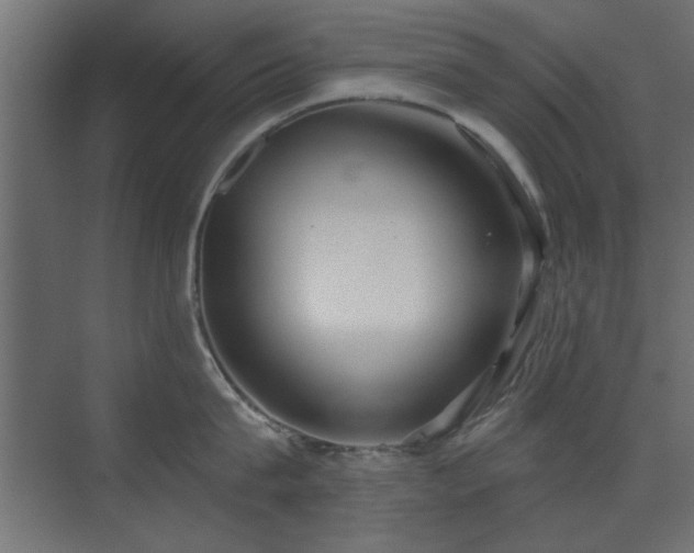 X0000073540815200607311351