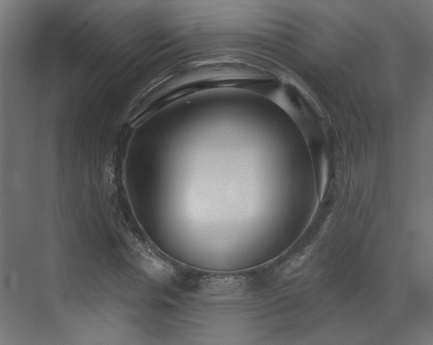 X0000073540826200607311350