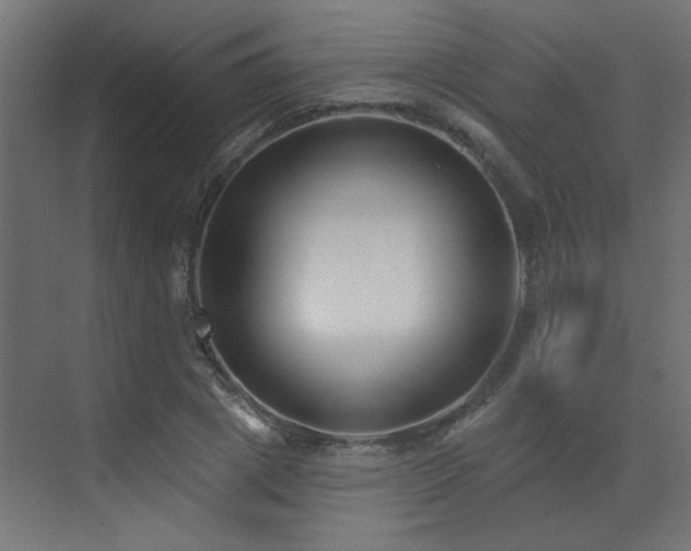 X0000073540833200607311350