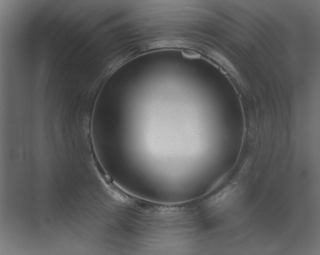 X0000073540849200607311350