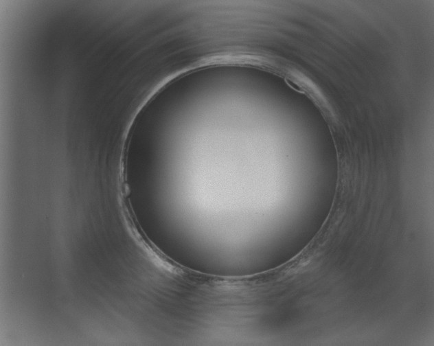 X0000073540852200607311350