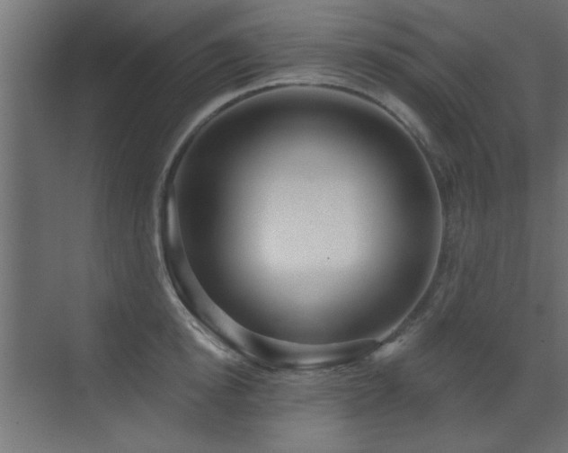X0000073540854200607311350