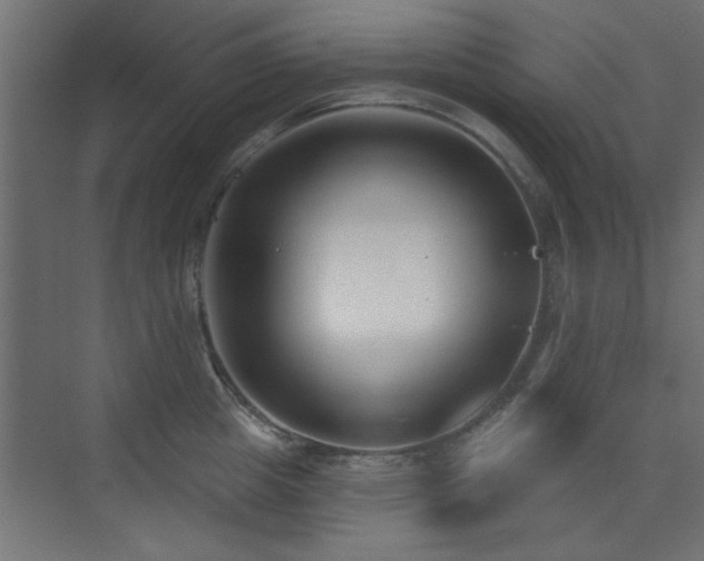 X0000073540857200607311350
