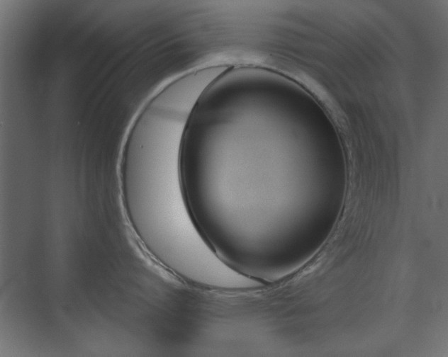 X0000073540864200607311351