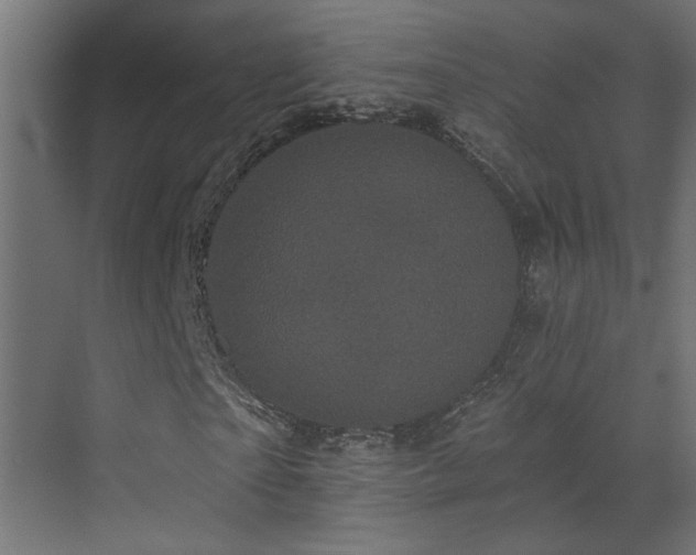 X0000073540865200607311350